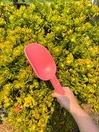 product - name - product - type