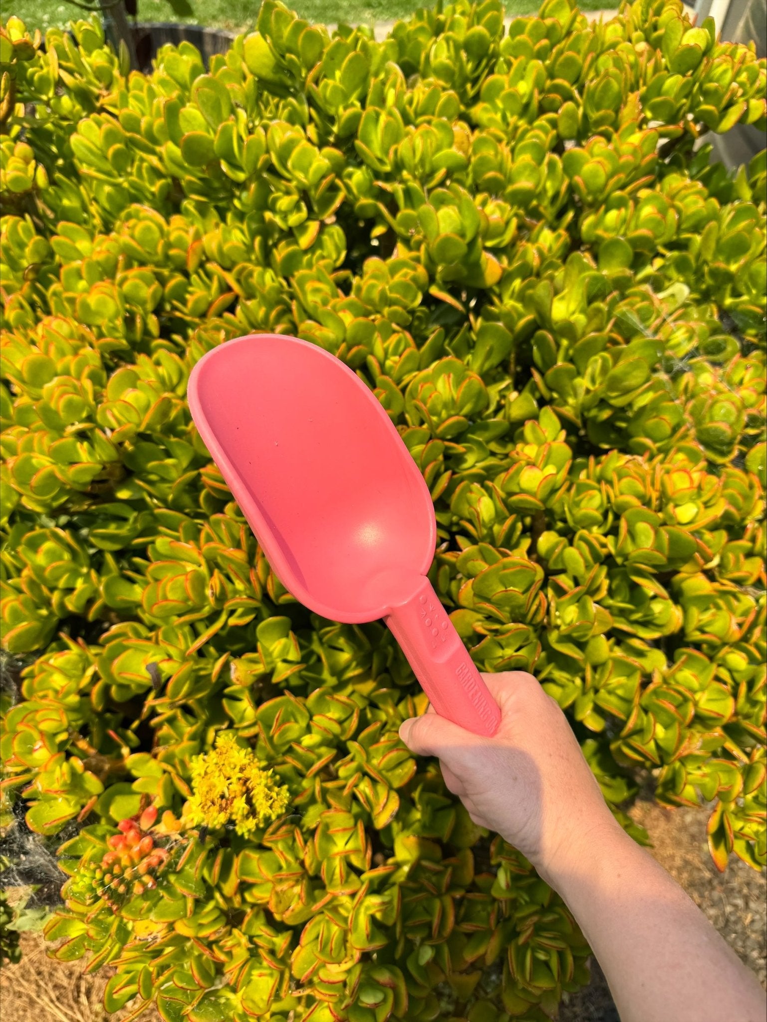 product - name - product - type