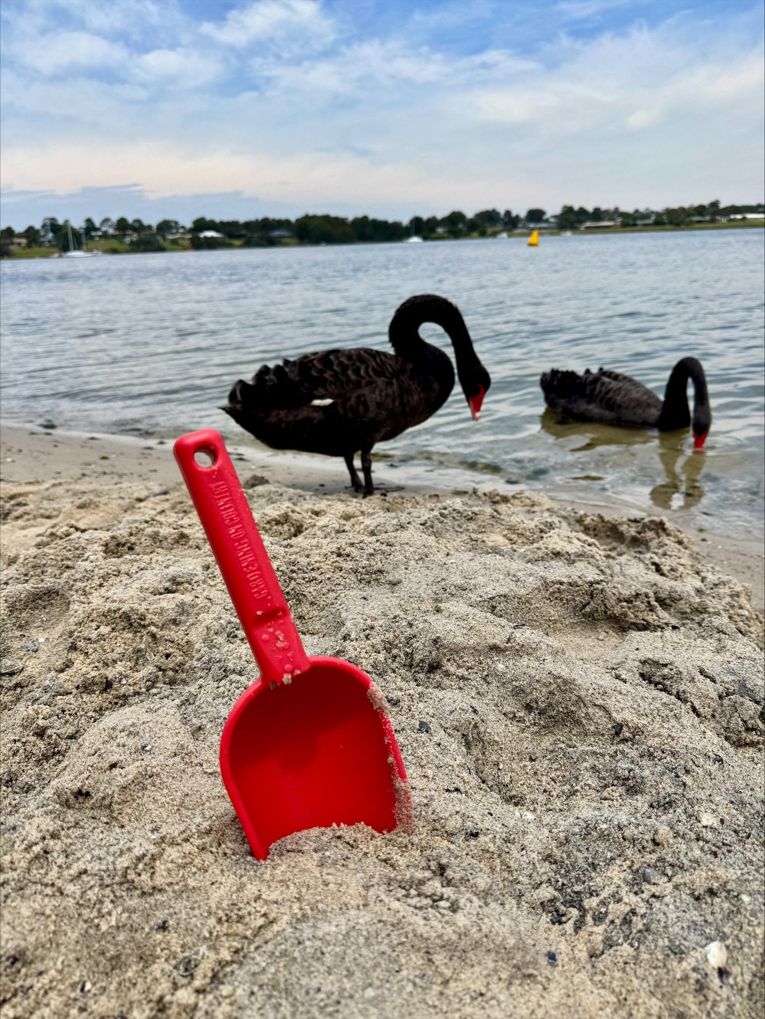 product - name - product - type