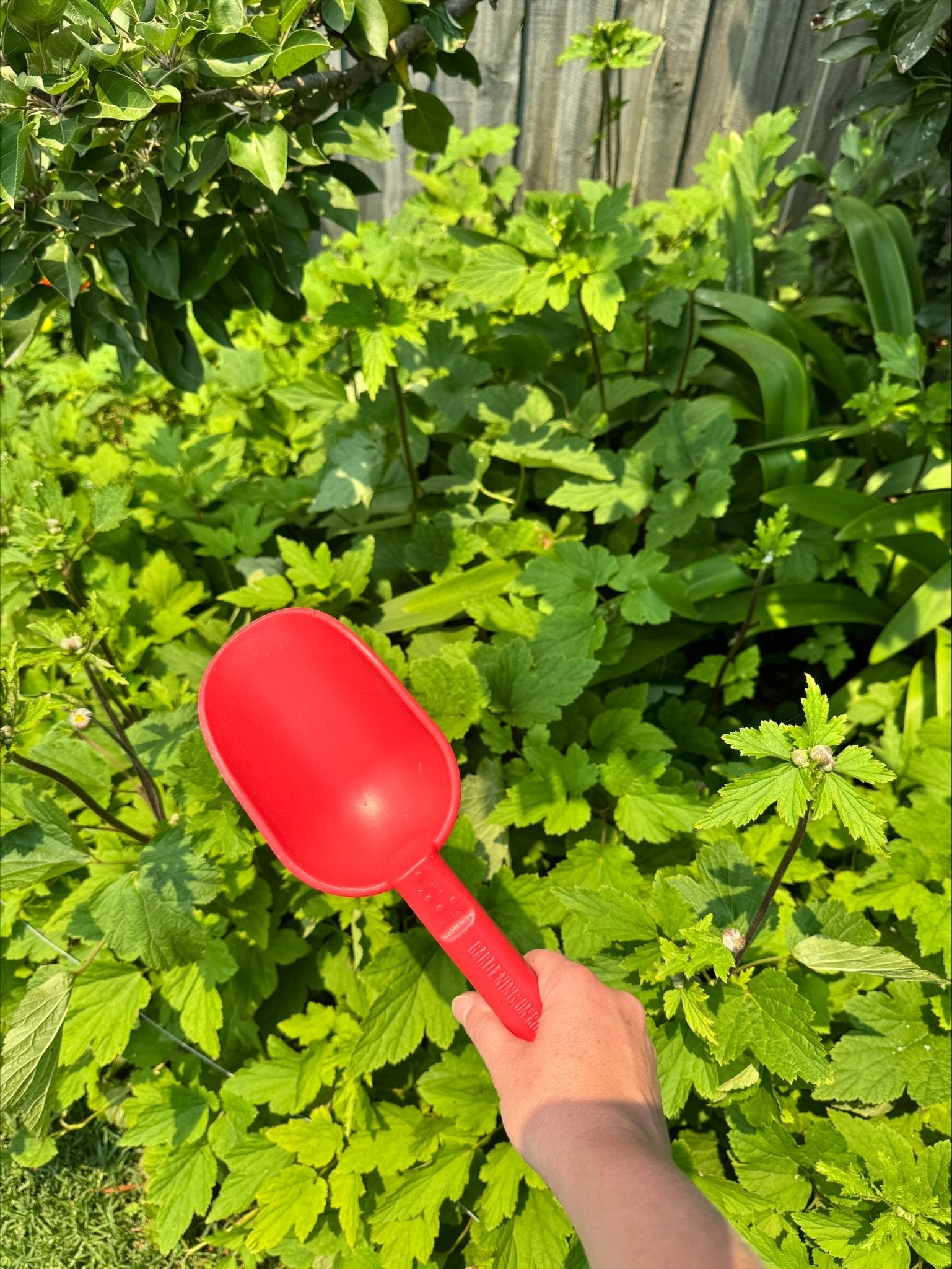 product - name - product - type