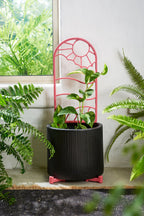Black pot with a recycled plastic  plant trellis on a windowsill recycled plastic pink pot feet risers