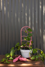 white pot with a pink recycled plastic  plant trellis with creeping plant and pink recycled plastic pink pot feet risers, scoops and dibbler.