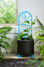 Black planter with a blue recycled plastic plant trellis decorative stand on a windowsill with green plants.