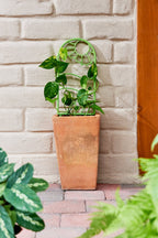 Tall terracotta pot with green creeping plant and recycled plastic plant trellis against a light brick wall
