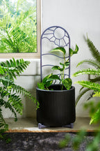 Black pot with a purple recycled plastic  plant trellis on a windowsill recycled plastic purple pot feet risers