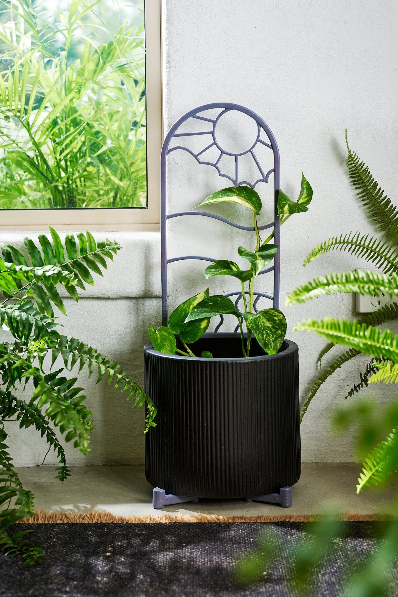 Black pot with a purple recycled plastic  plant trellis on a windowsill recycled plastic purple pot feet risers